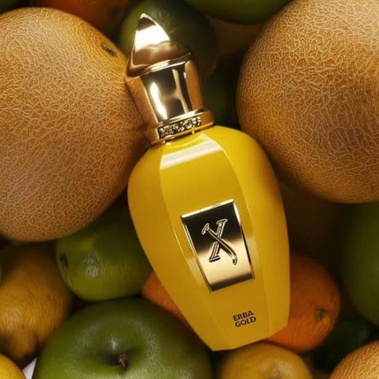 Erba Gold Xerjoff 100 ML